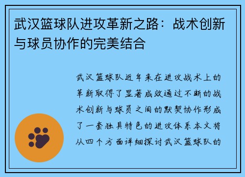 武汉篮球队进攻革新之路：战术创新与球员协作的完美结合